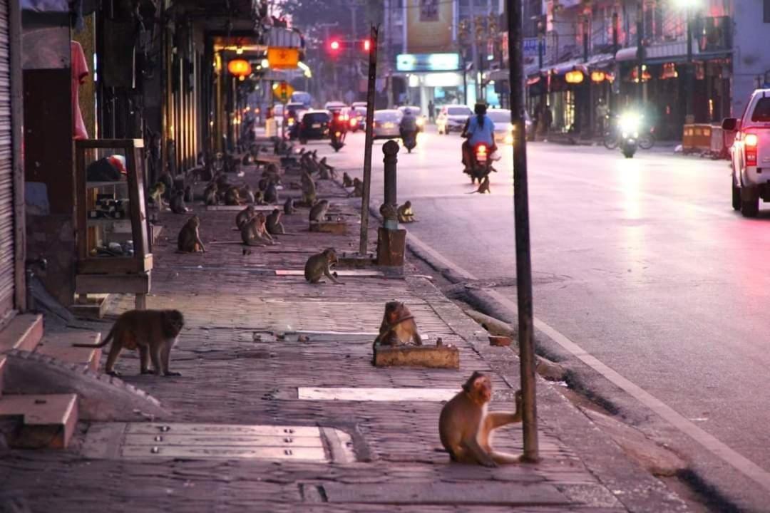 Ban Tha Krayang Pee Homestay Lopburi מראה חיצוני תמונה