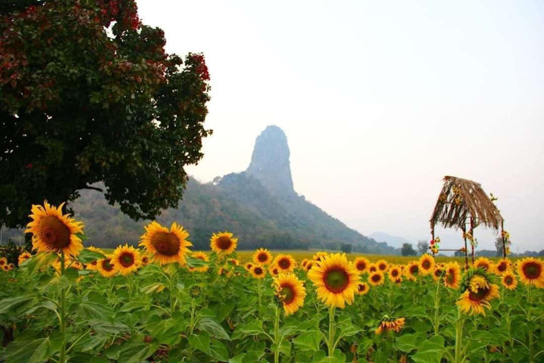 Ban Tha Krayang Pee Homestay Lopburi מראה חיצוני תמונה