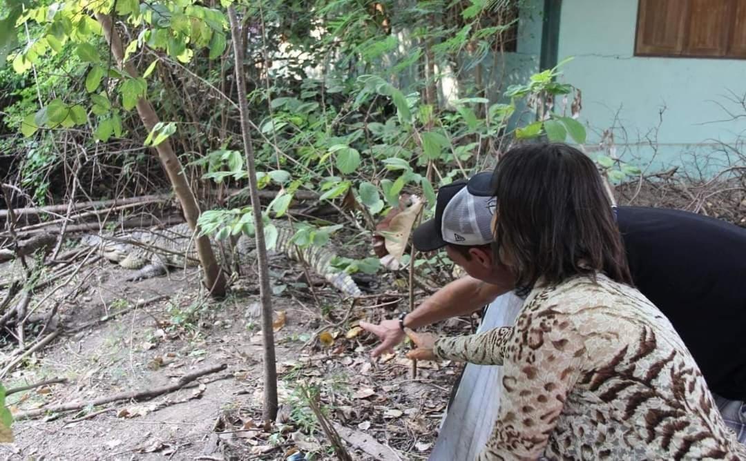 Ban Tha Krayang Pee Homestay Lopburi מראה חיצוני תמונה